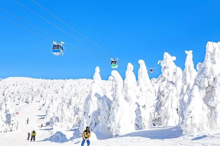 春节要去藏王滑雪度假 一份史上最强雪道攻略送给你 日本旅行攻略 微信公众号文章阅读 Wemp