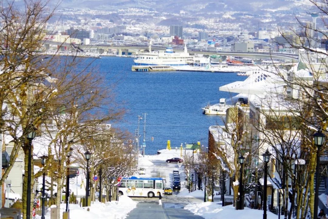 懶人攻略丨日媒評選美食の旅王道-北海道極限逛吃線路，跟著玩就對了！ 旅遊 第39張