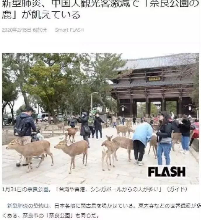 疫情当前游客骤减 奈良小鹿 我很暴躁 我很委屈 我已经饿得开始吃草 日本旅行攻略 微信公众号文章阅读 Wemp