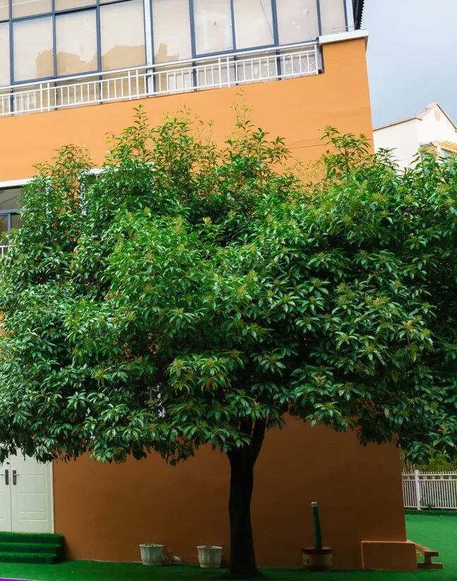 裁剪旋转 (2).jpeg