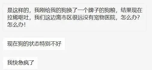 流浪動物慘遭虐待，而救它的寵物醫生卻被逼離職...... 寵物 第10張