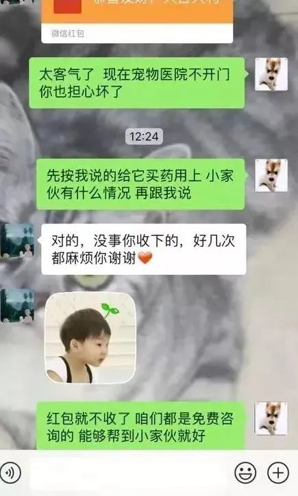 狗狗被救活了，這位主治醫師卻把飯碗丟了..... 寵物 第16張