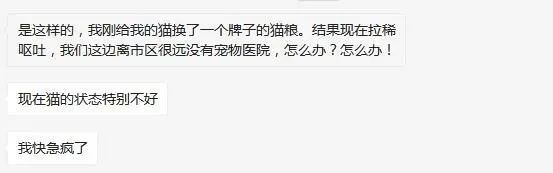 接診一隻滿身都是蒼蠅的貓貓後，這位主治醫師辭職了！ 寵物 第10張