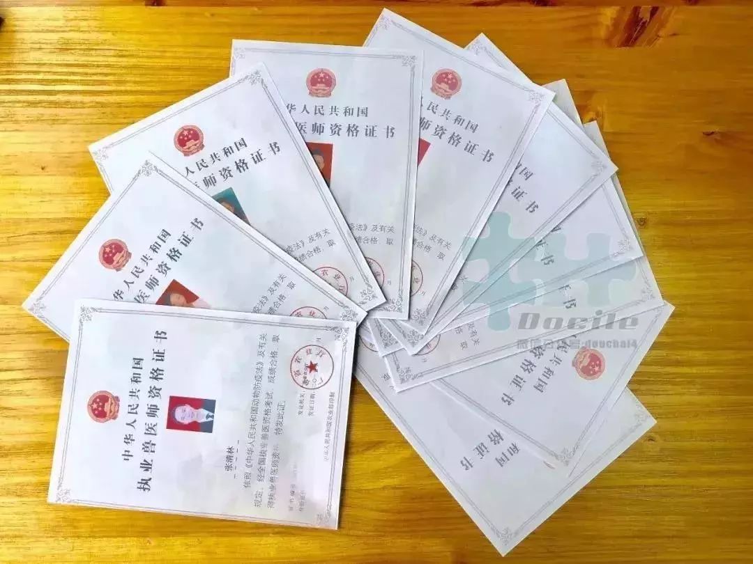 為了救狗被捕入獄，沒想到暖心的事情發生了... 寵物 第13張