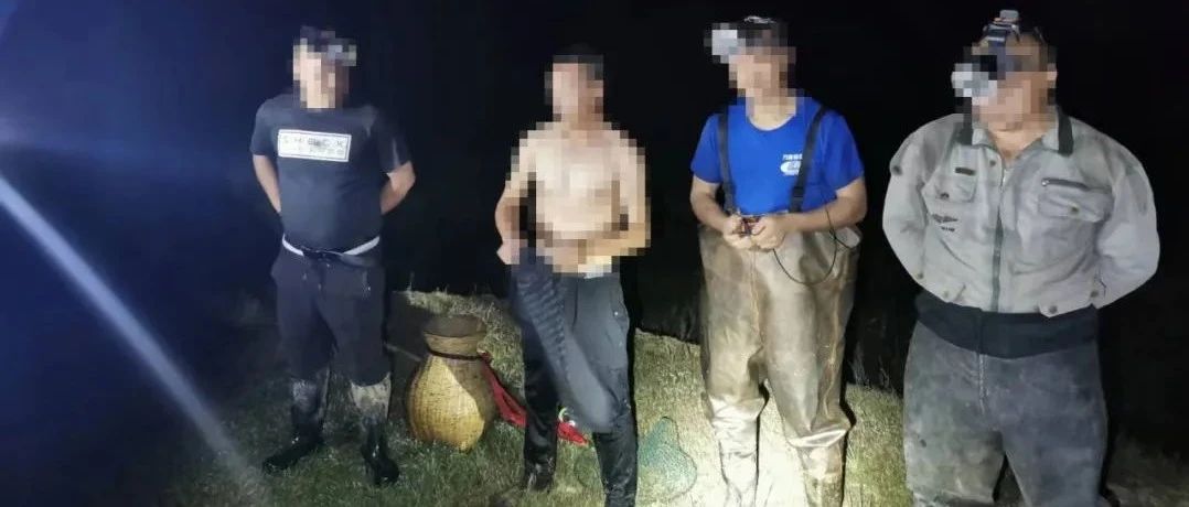 鹰潭4男子夜里抓“水鸭”“田鸡”被警方抓获