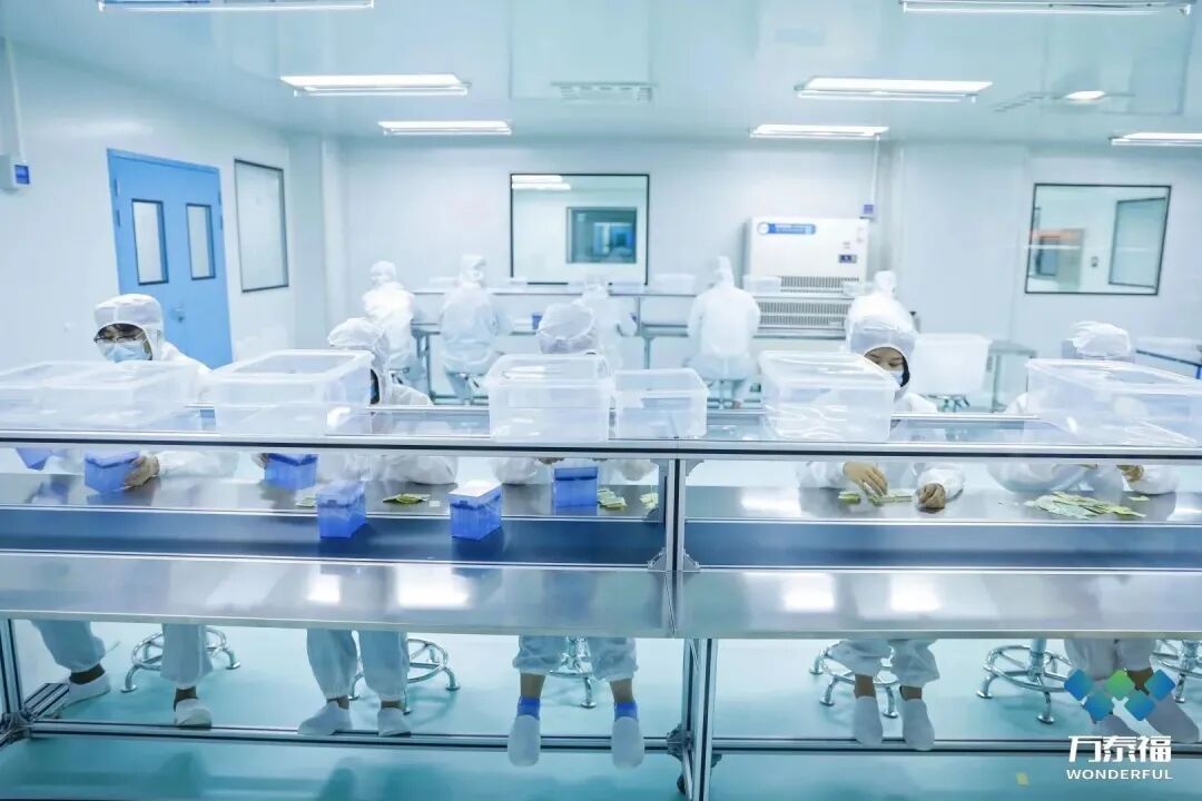 医用制氧机低氧怎么处理低氧血症的常见病因及治疗方法_https://www.jmylbn.com_新闻资讯_第17张