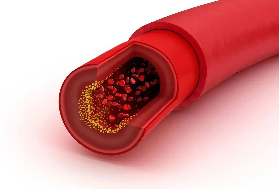 医用制氧机低氧怎么处理低氧血症的常见病因及治疗方法_https://www.jmylbn.com_新闻资讯_第3张