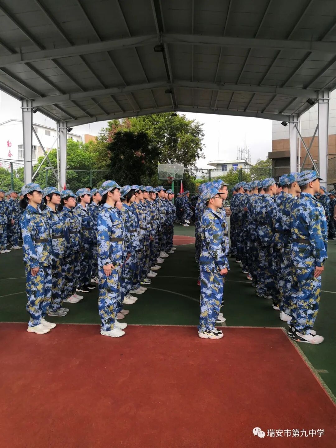 瑞安市第九中学 德育在线 瑞安九中2022级新生军训简报(二)|坚持