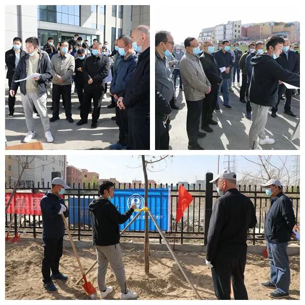 新疆生态环境厅系统组织开展2022年春季绿化植树活动