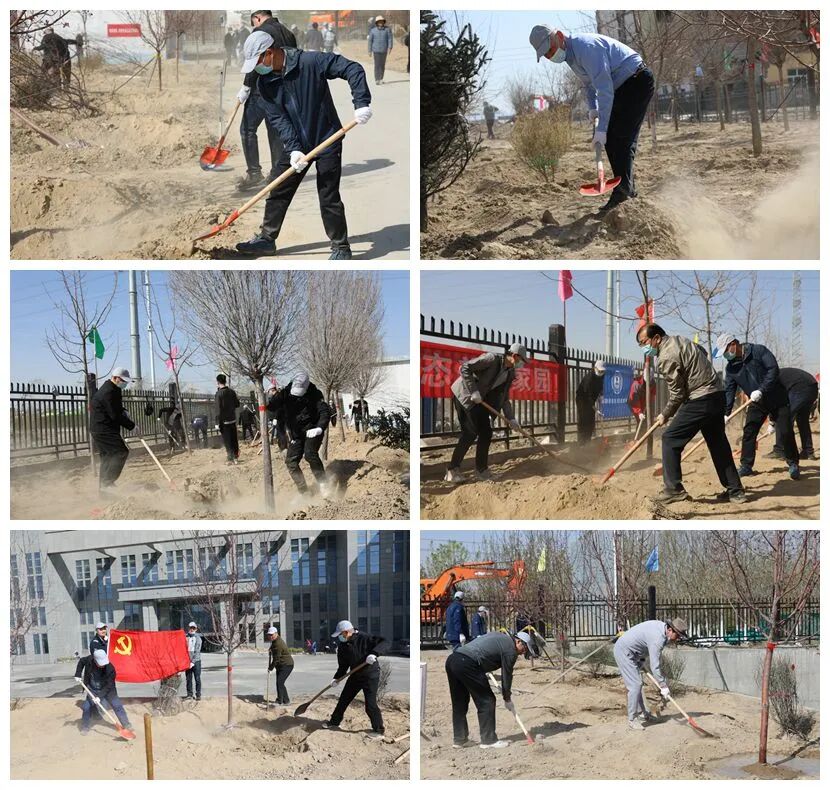新疆生态环境厅系统组织开展2022年春季绿化植树活动