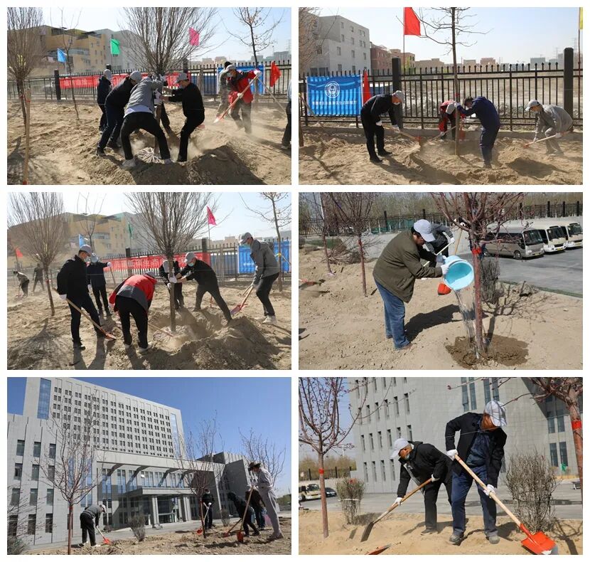 新疆生态环境厅系统组织开展2022年春季绿化植树活动