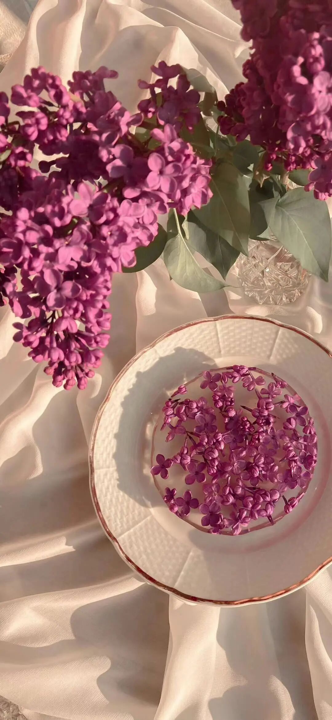 壁纸能力不高可以理解，人品不好无法将就