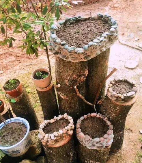 盆栽花盆太贵?水泥石子堆起来做成简易花盆,省钱又好看,绝了!