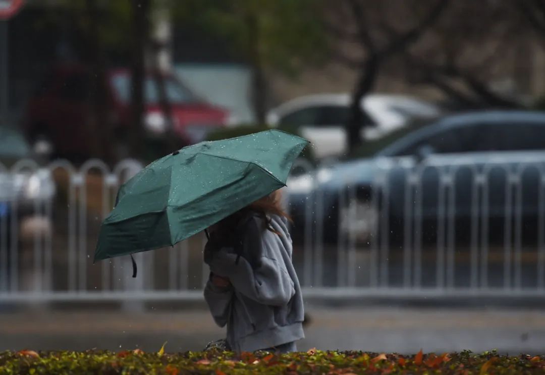 滨海天气