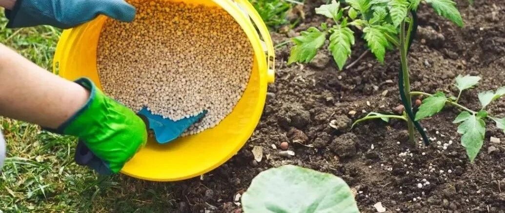 养花要学会合理用肥，底肥和追肥要搞清楚，教你老园丁的施肥技巧