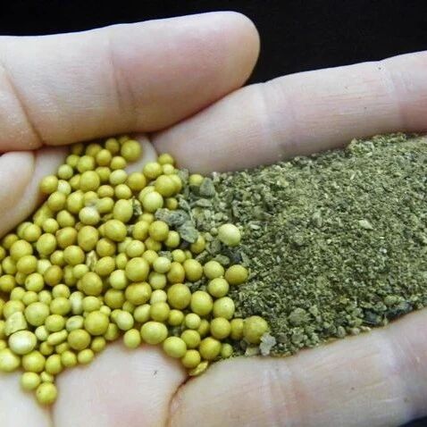 养花别浪费钱买太多肥料，有这两类就够用，观叶、观花植物用得上