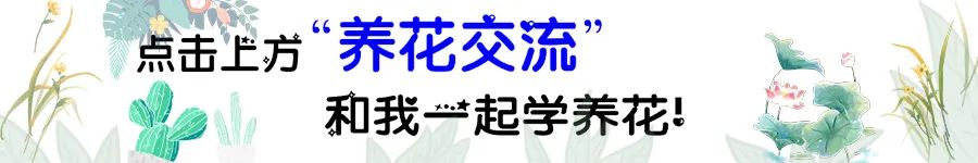入冬前，植物和土壤喷一次这种便宜的药剂，来年病虫害都难找到