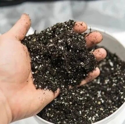 家庭养花的通用配土操作指南，省钱又省心，养的植物花卉更容易活