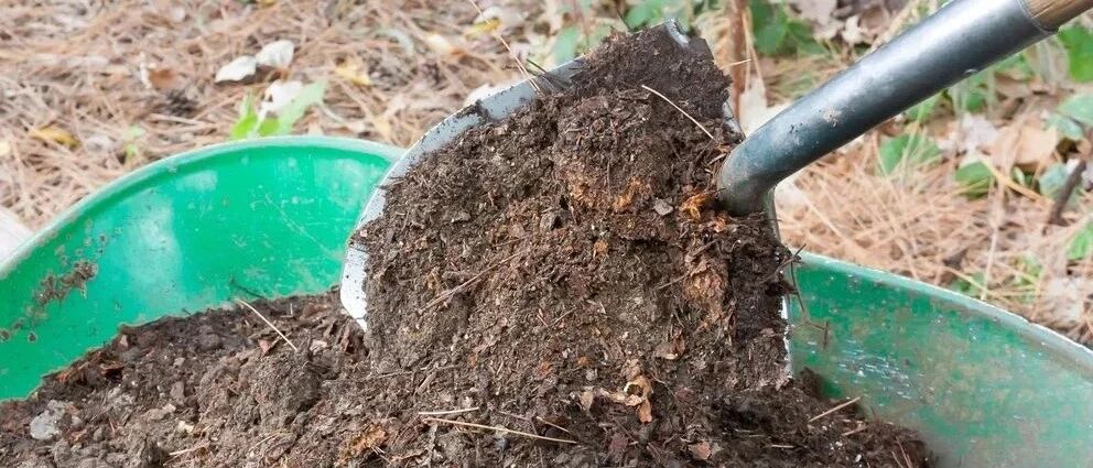 园土养花更耐寒，长得更健壮，但不是随便挖来的土都叫“园土”