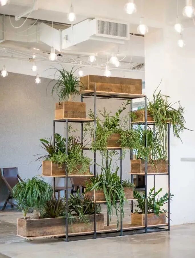 客厅布置盆栽绿植的10个创意 这些植物都少不了 养花交流 微信公众号文章阅读 Wemp