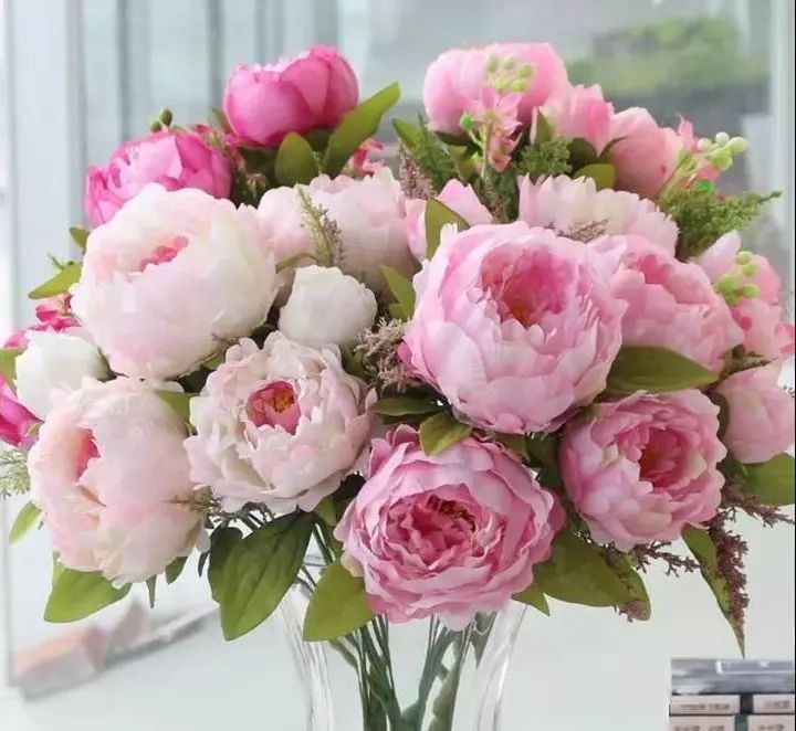 常見10種切花的保鮮期限 你更喜歡哪一種花呢 尋夢新聞