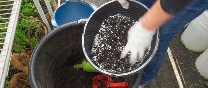 为啥买的营养土，反而养不活植物，养花要学好的几个配土比例