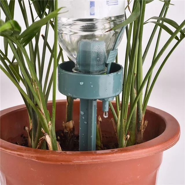 離家之後這幾個方法都能解救你的植物，自制簡易自動澆水技巧 生活 第7張