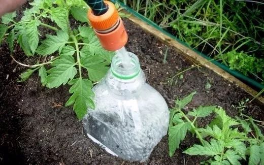 離家之後這幾個方法都能解救你的植物，自制簡易自動澆水技巧 生活 第8張