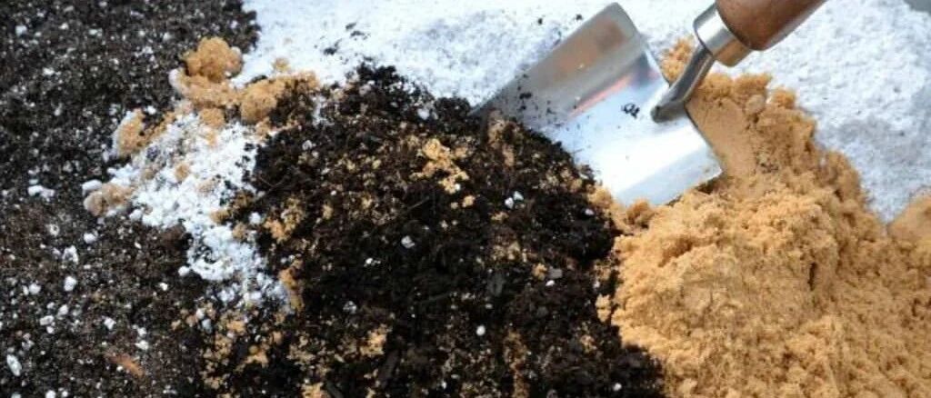 养花多年一直自己配土，植物好活，终于知道为啥买的营养土养花难