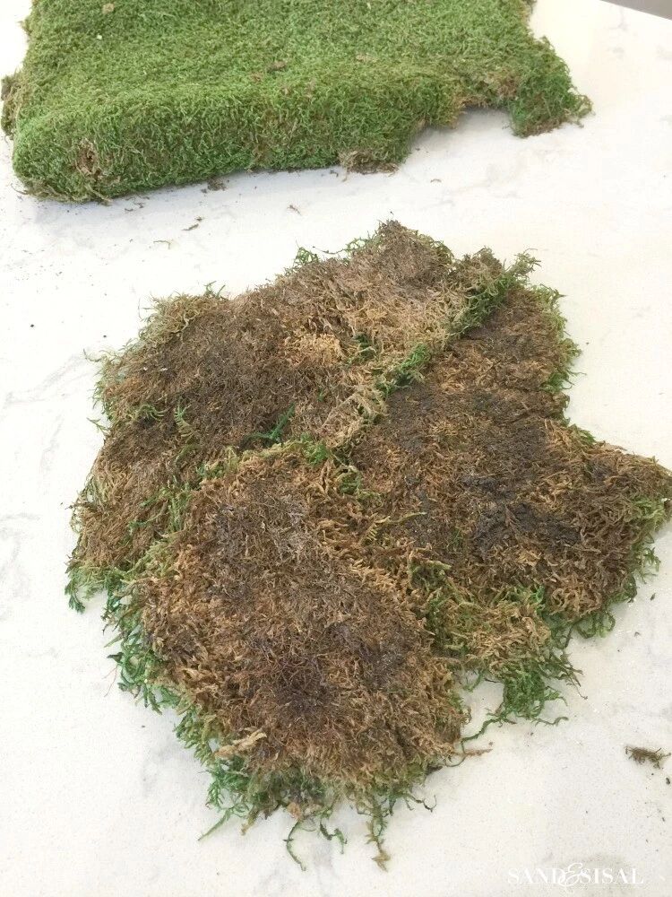 用水苔和麻绳制作可悬挂空中的景观植物 不需要花盆栽种 生活家 生活资讯 生活315 生活指南 生活品位 微信头条新闻公众号文章收集网