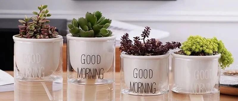 听说懒人盆缺点比优点还多，使用有很多注意，你有用对吗？