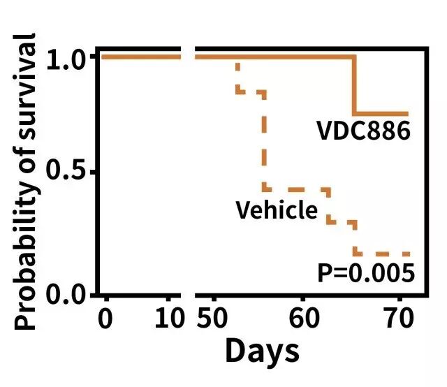 ֣ⷢűԭڵĵ׿ɶԿ100ְϸ