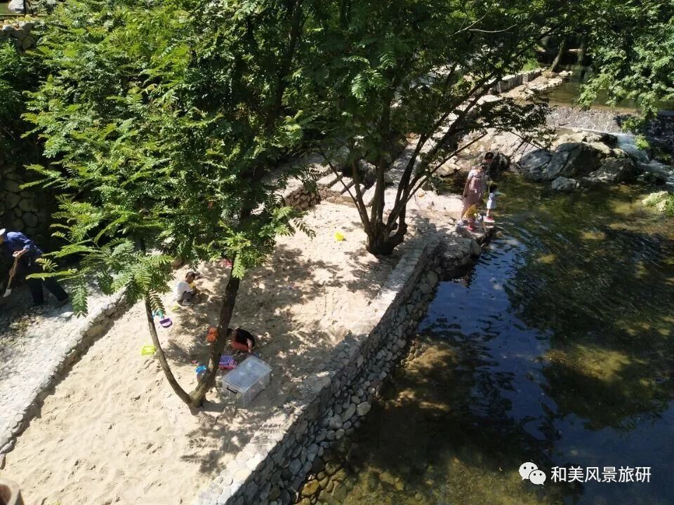 檫木做地板怎么樣_大榆樹(shù)木地板_富林地板天料木