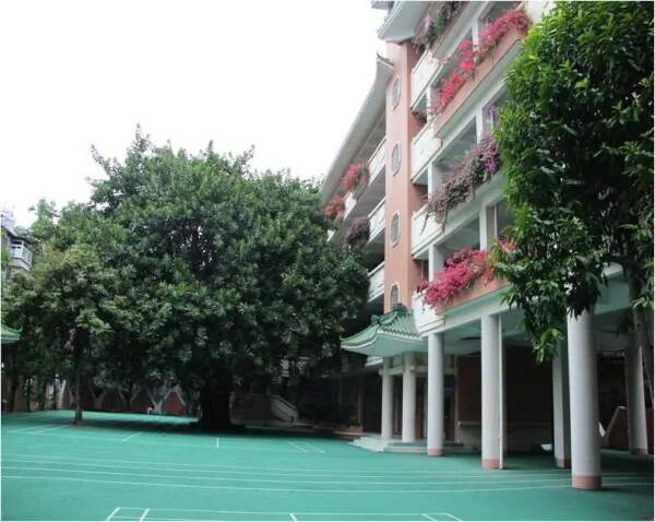 官宣！中大附小附中转公，这4大变化必看！