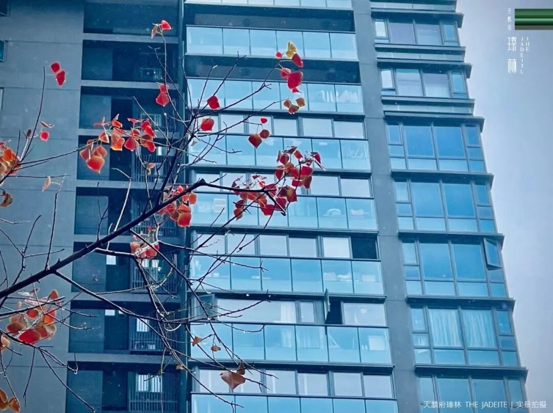 天麟府臻林14万+/平！交楼1年，天河公园一手现楼