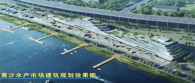 黄沙水产市场还搬不搬？官方回应：新址在建中，明年再迁商户