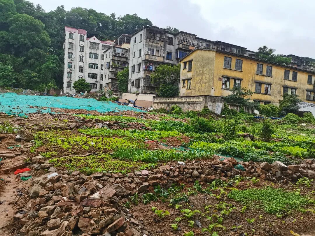 提速！老黄埔珠江村，年底动工！