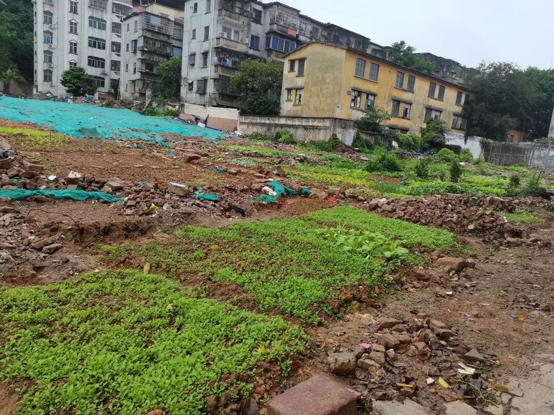 提速！老黄埔珠江村，年底动工！