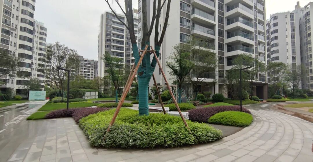 低*5字头起，天河三大“老妖盘”卷进江湖！这波能出圈？