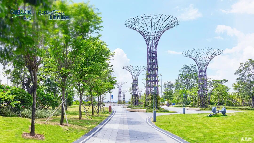 广东仲元中学砸中莲花湾！还是九年一贯制！