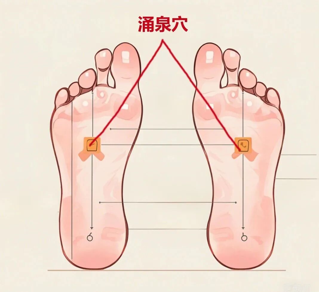 祛湿的根本是升阳：用泡脚，补足阳气亏虚 ！