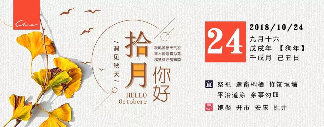 传奇发布站