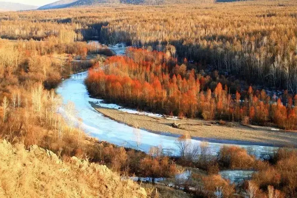 在呼伦贝尔大草原邂逅最美秋天！（组图）