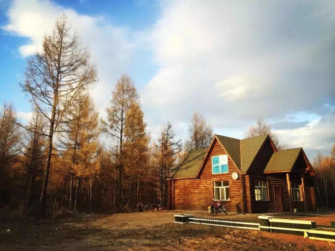 在呼伦贝尔大草原邂逅最美秋天！（组图）