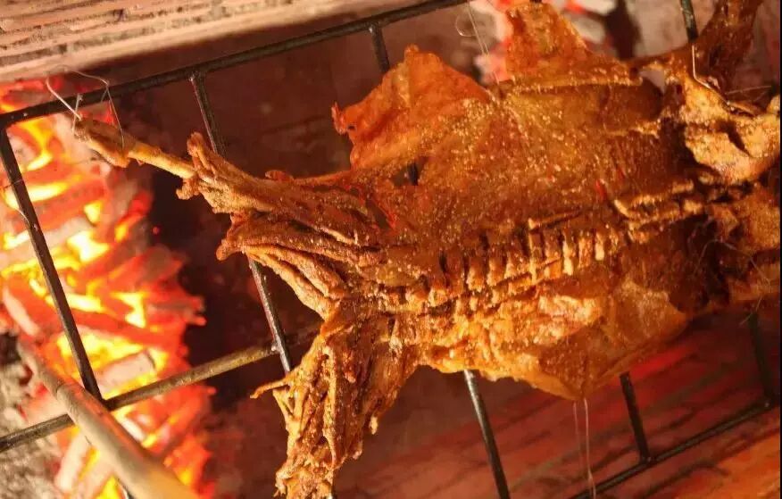 在呼伦贝尔大草原邂逅最美秋天！（组图）