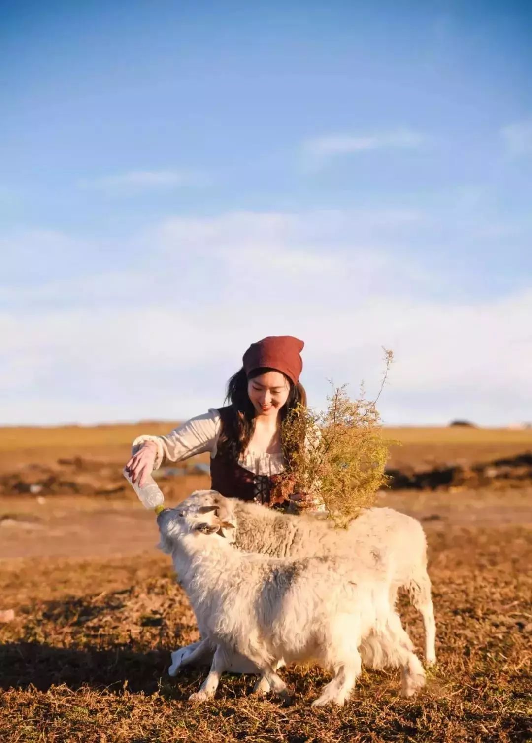 在呼伦贝尔大草原邂逅最美秋天！（组图）