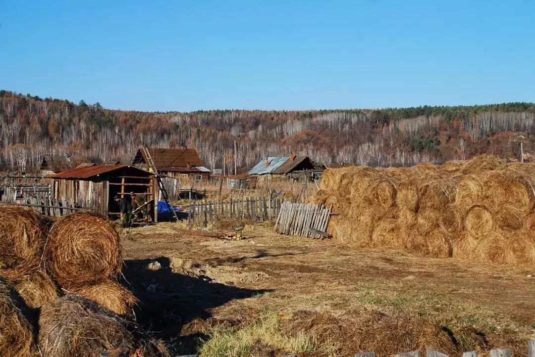 在呼伦贝尔大草原邂逅最美秋天！（组图）