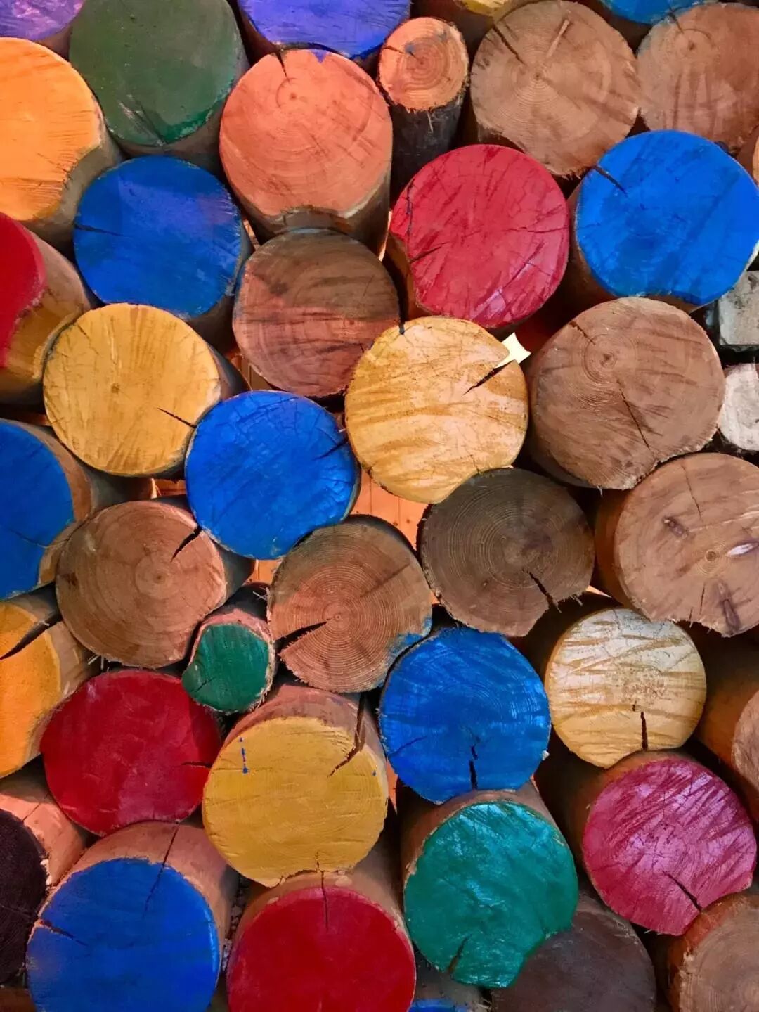 在呼伦贝尔大草原邂逅最美秋天！（组图）