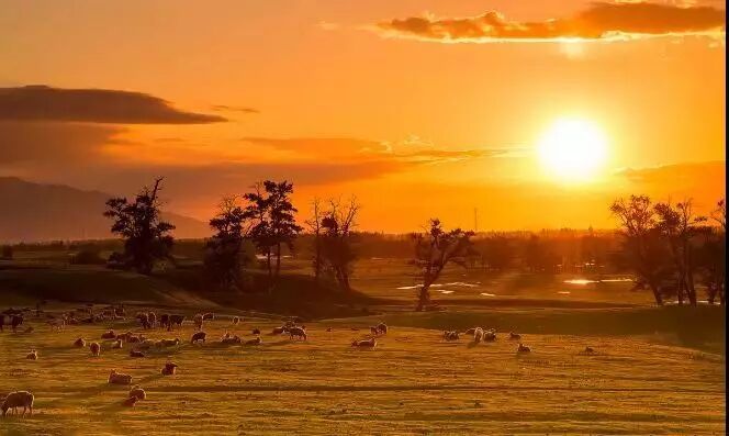 在呼伦贝尔大草原邂逅最美秋天！（组图）