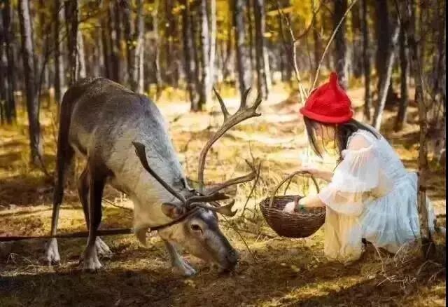 在呼伦贝尔大草原邂逅最美秋天！（组图）